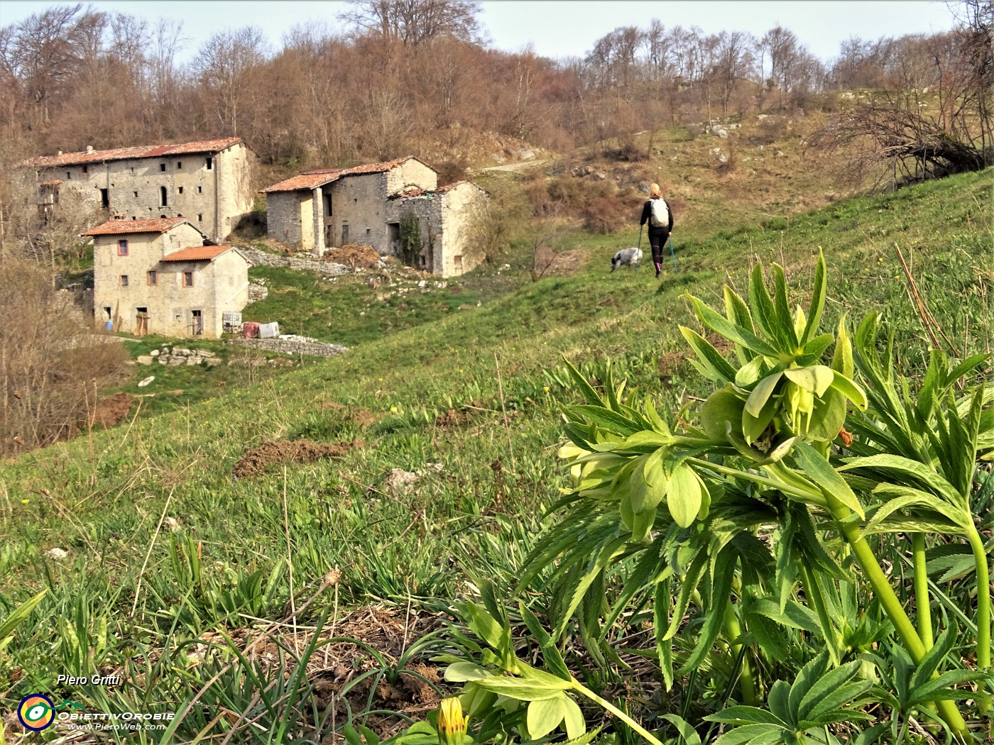 11 Dal Crosnello saliamo al Passo del Crosnello (1113 m).JPG